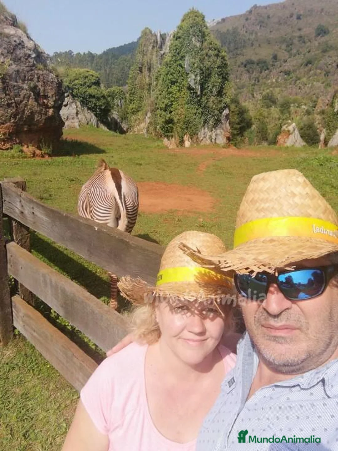 Imagen de galería {{count}}