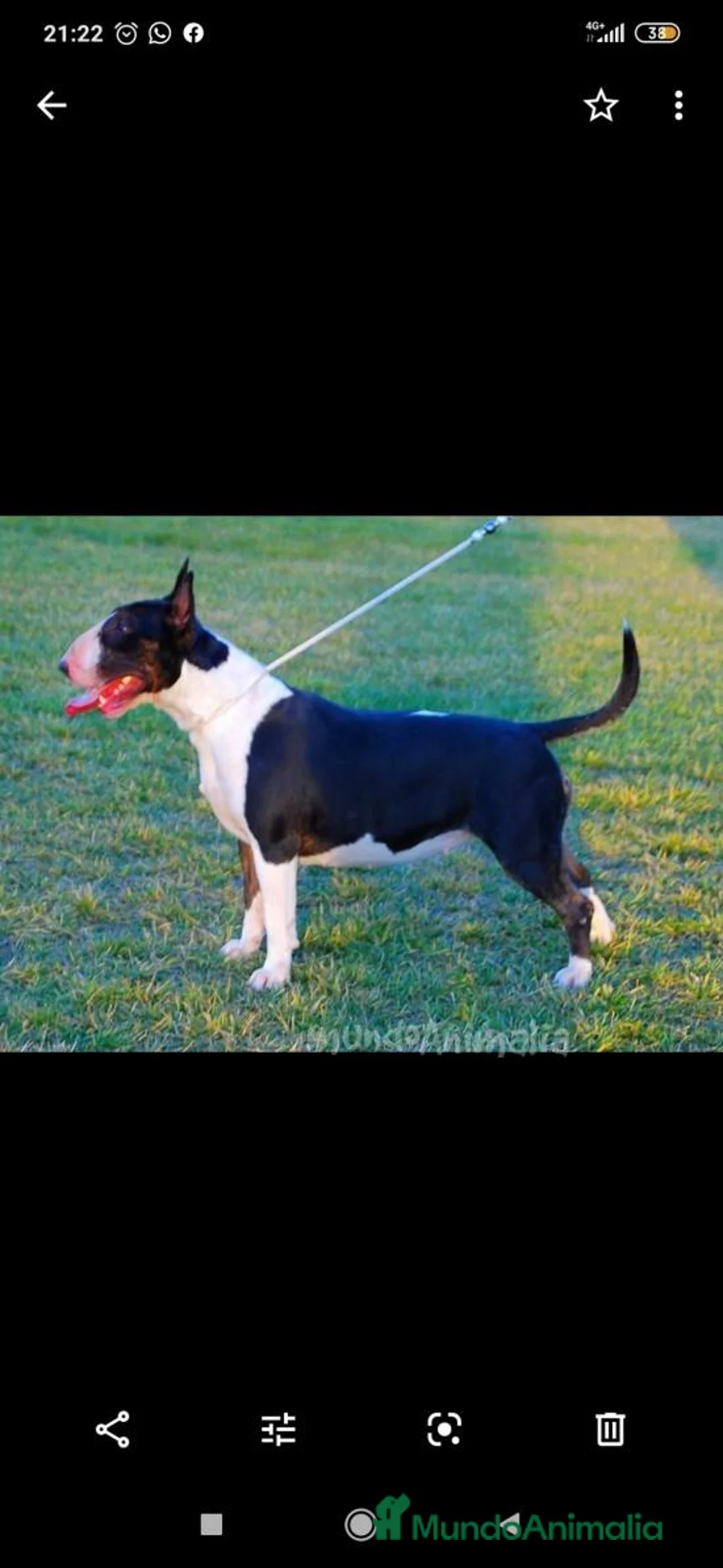 Imagen de galería {{count}}