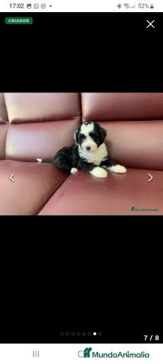 Imagen de galería {{count}}