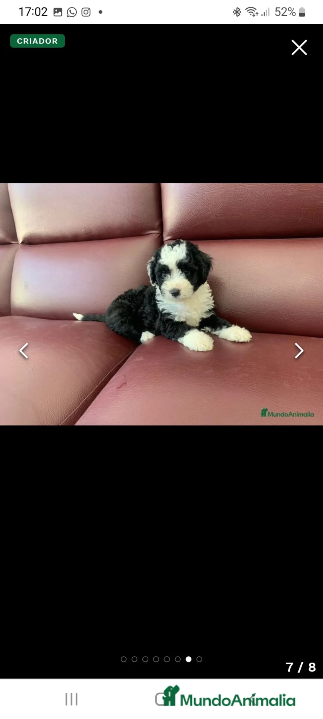 Imagen de galería {{count}}