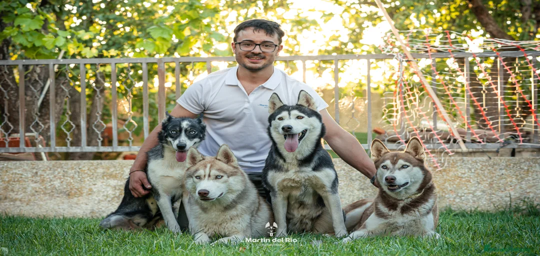 Imagen de galería {{count}}