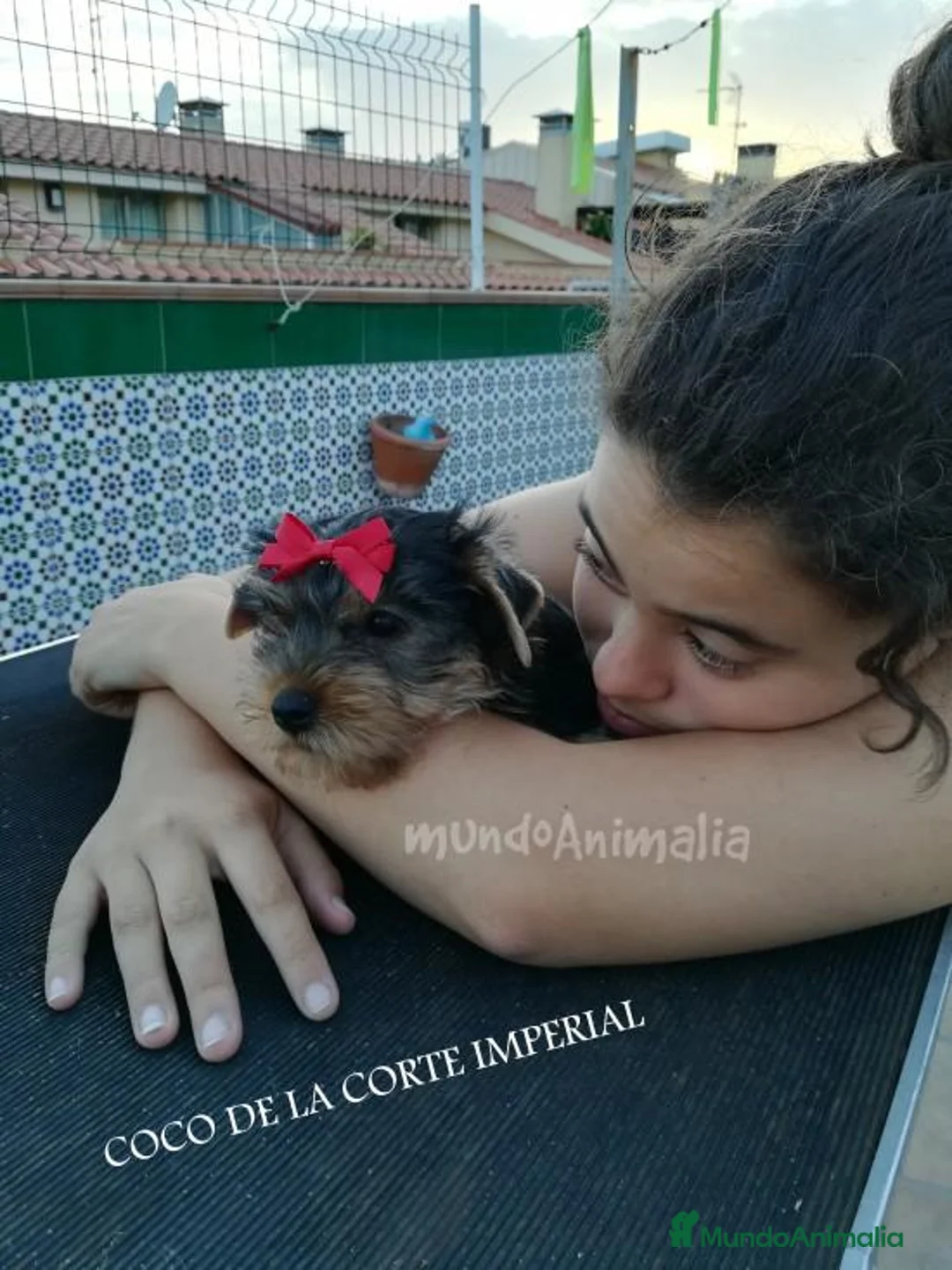 Imagen de galería {{count}}