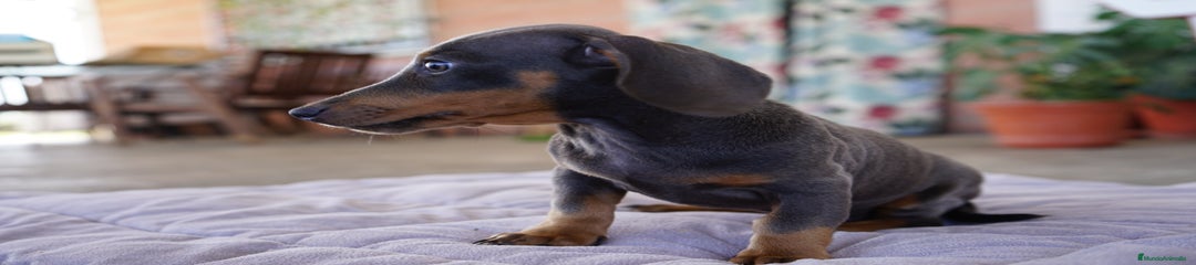 TIKO