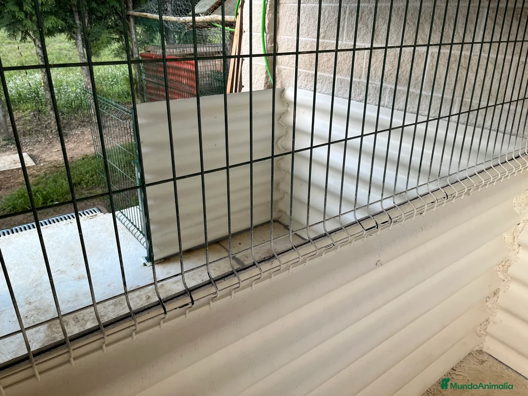 Imagen de galería {{count}}