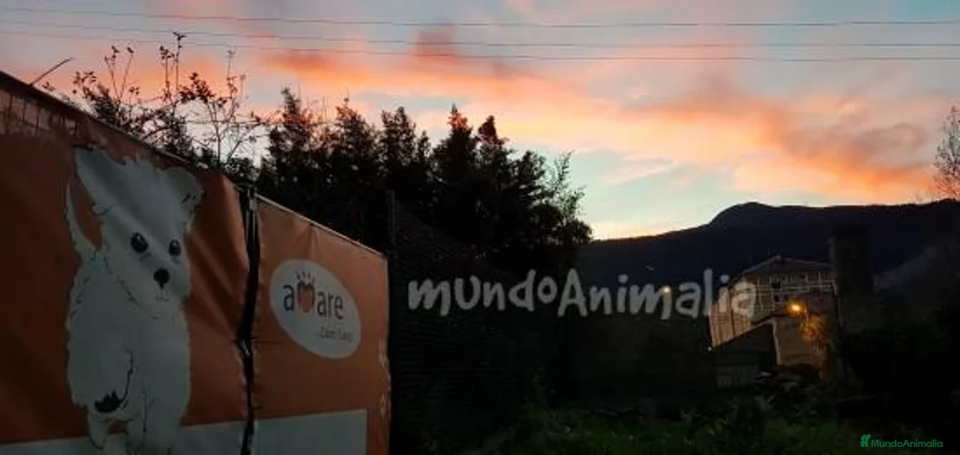 Imagen de galería {{count}}