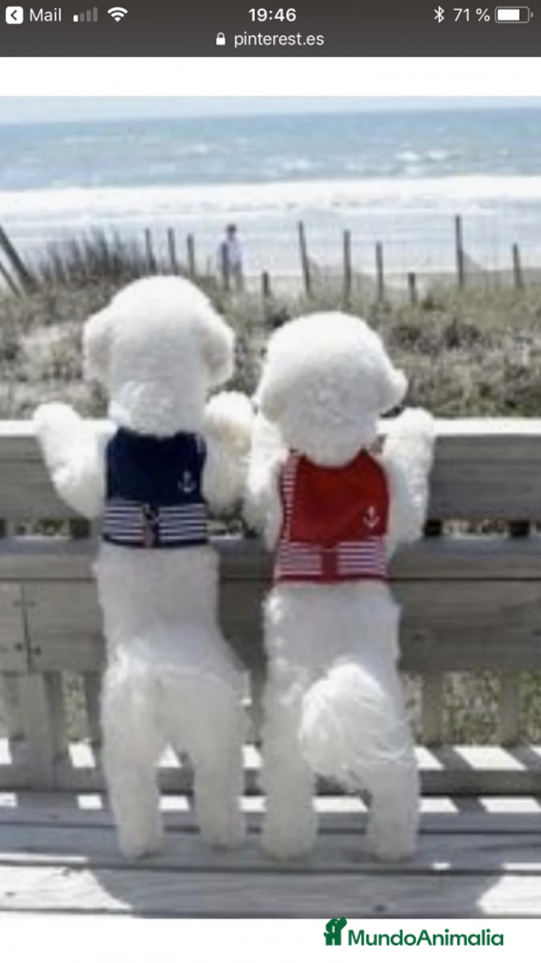 Imagen de galería {{count}}