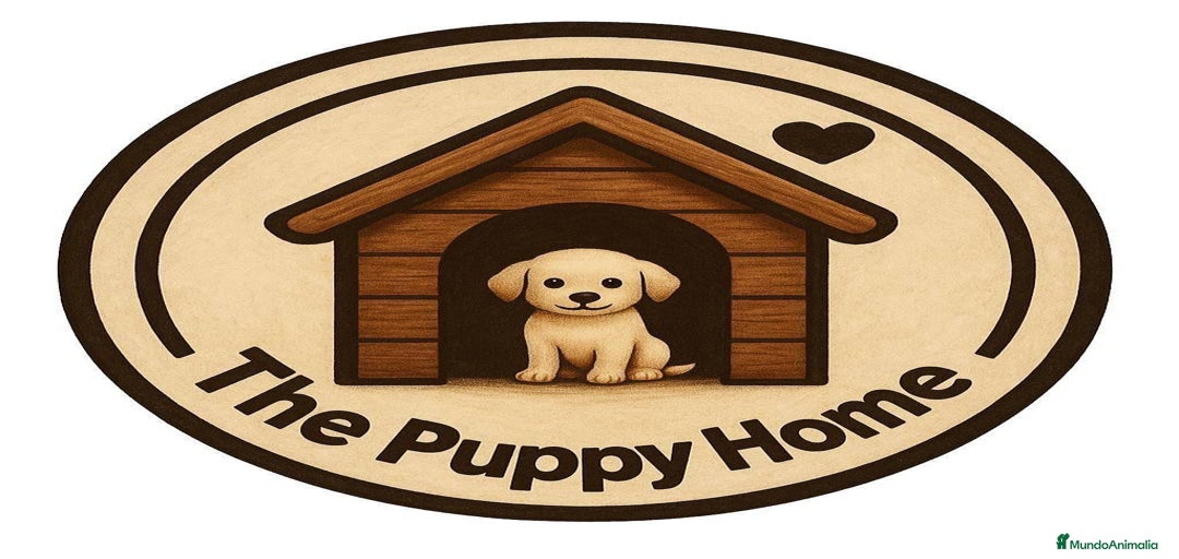 Imagen de galería {{count}}