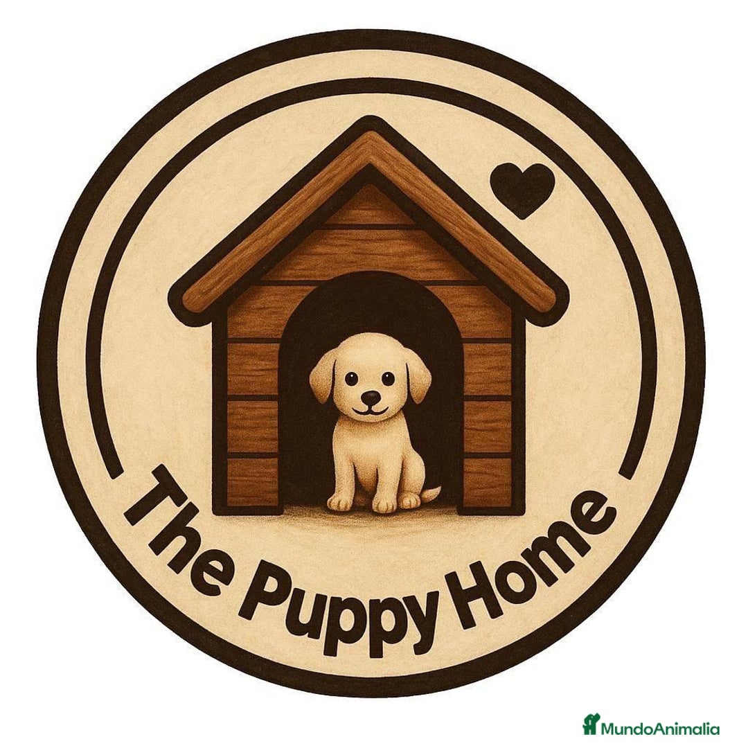 Imagen de galería {{count}}