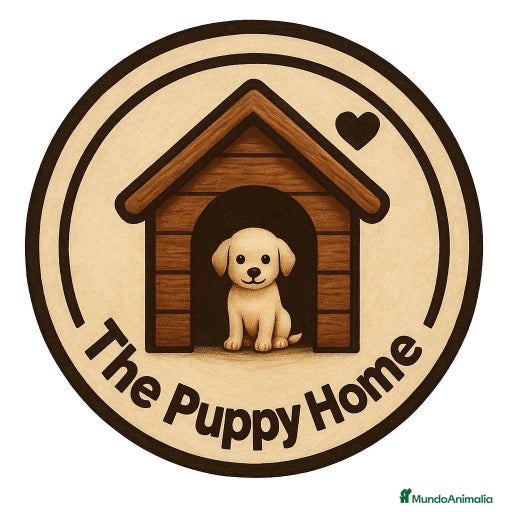 Imagen de galería {{count}}