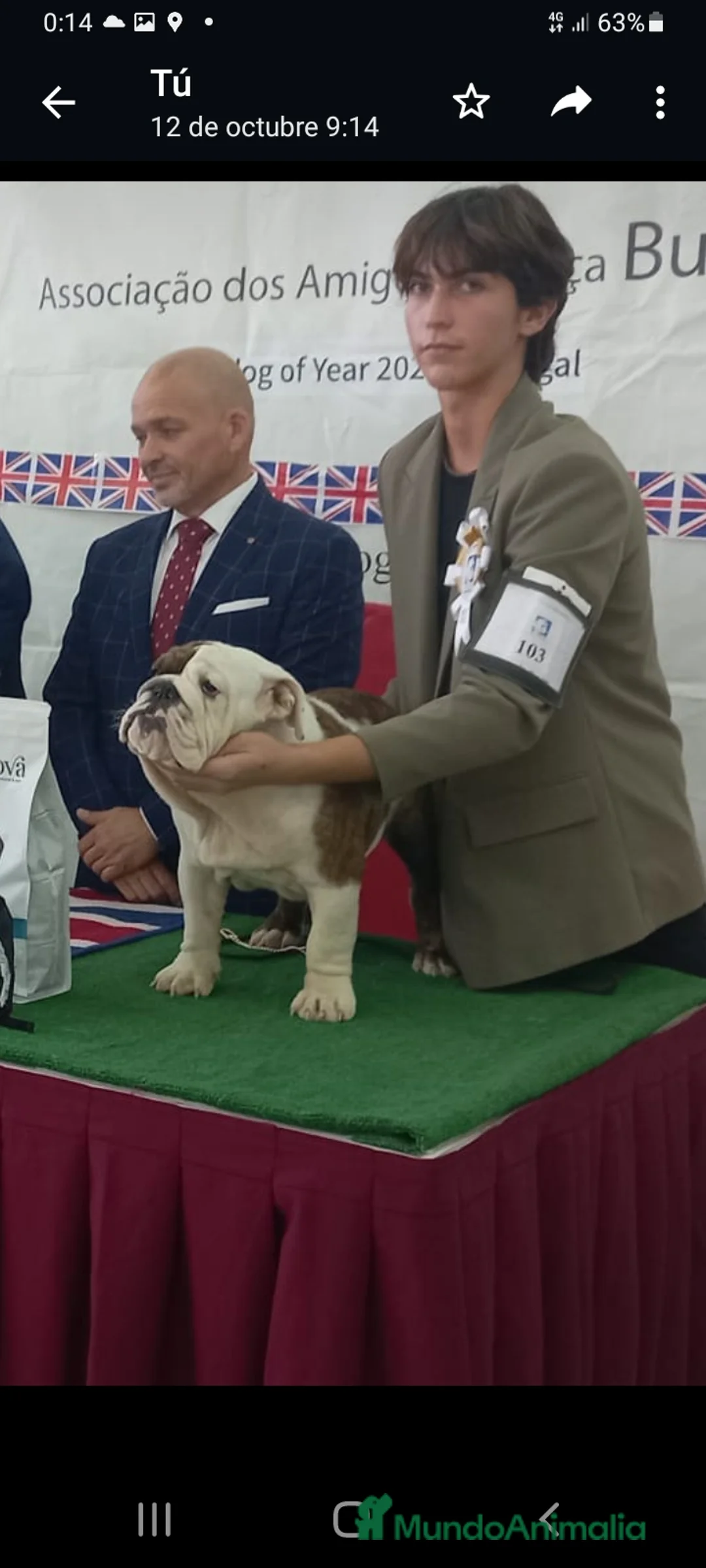 Imagen de galería {{count}}