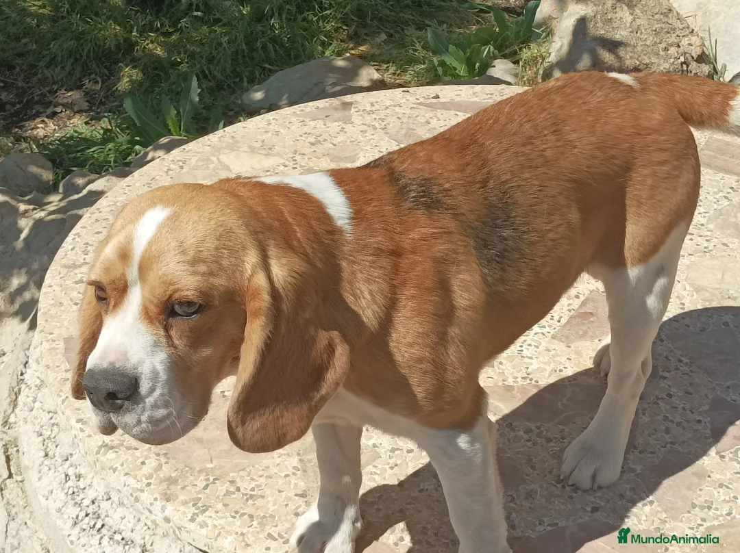 Imagen de galería {{count}}