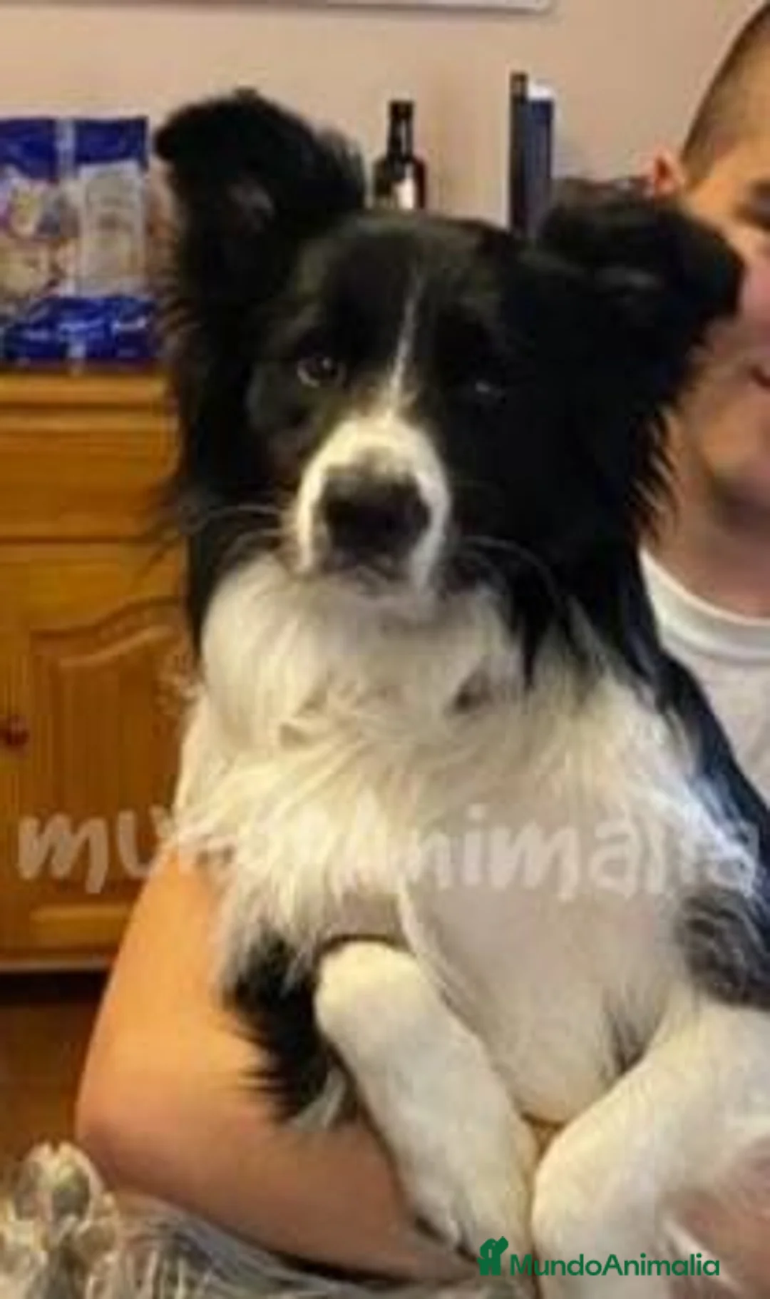 Imagen de galería {{count}}