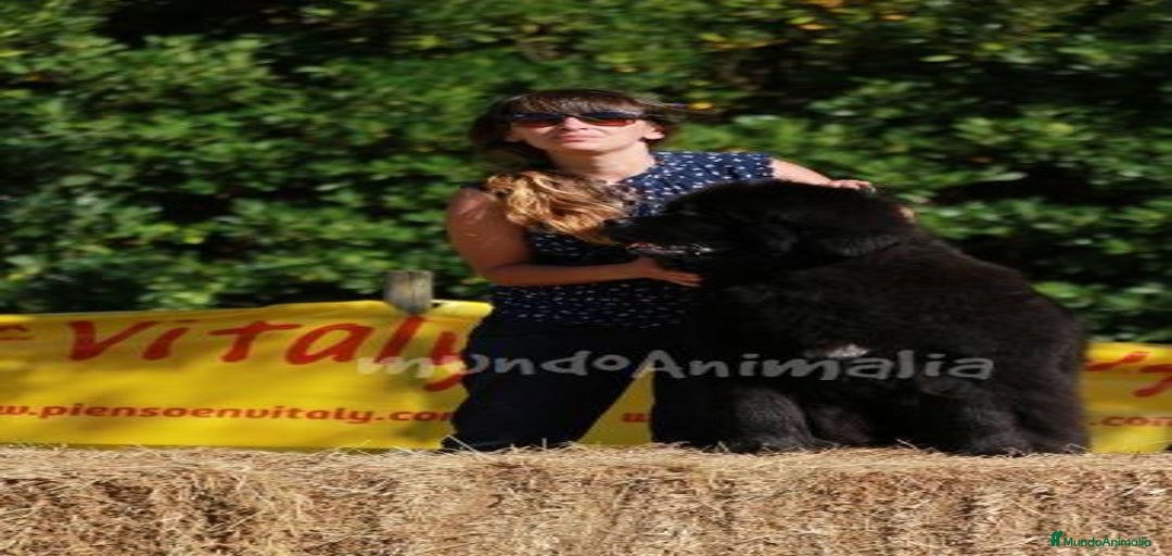 Imagen de galería {{count}}