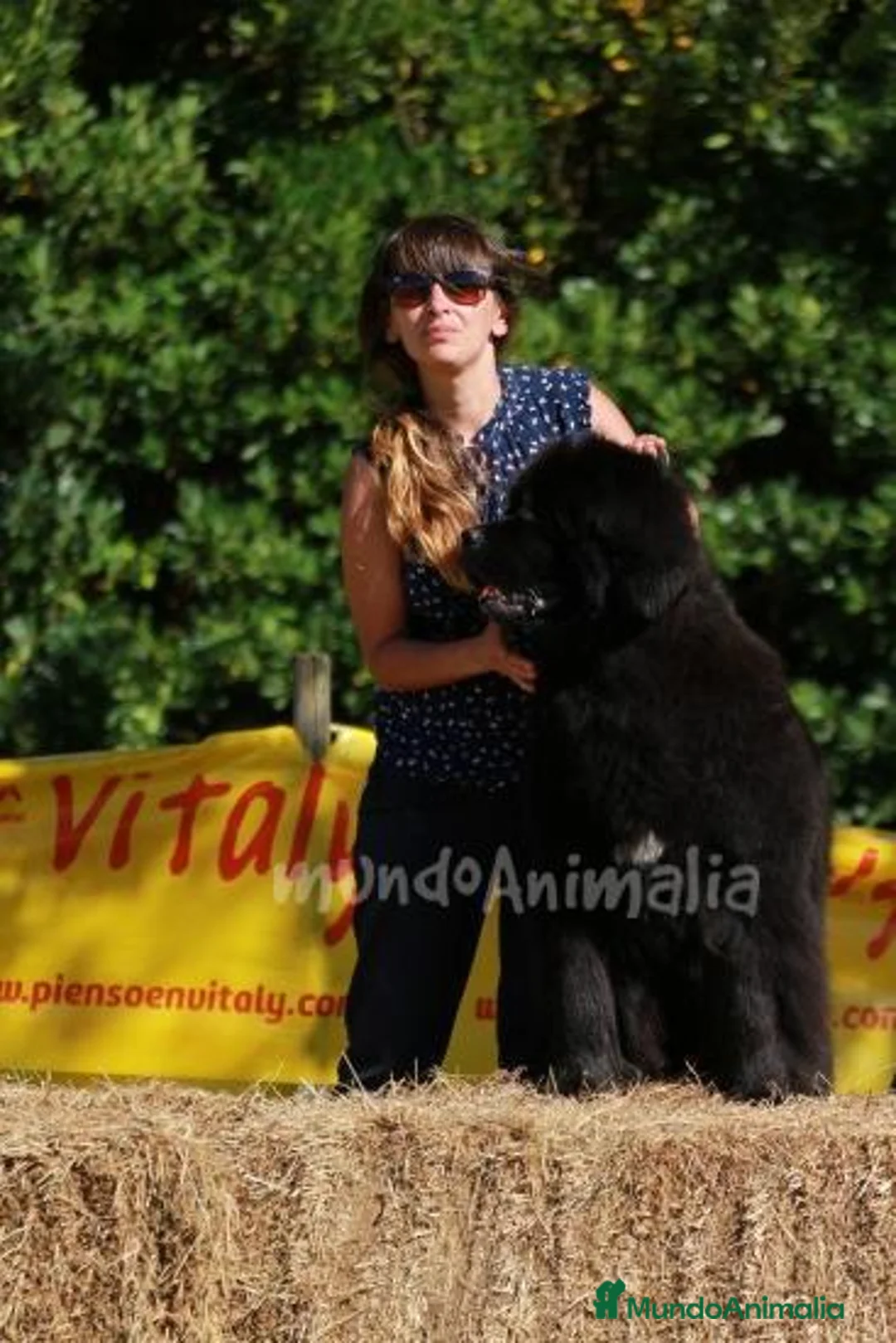 Imagen de galería {{count}}