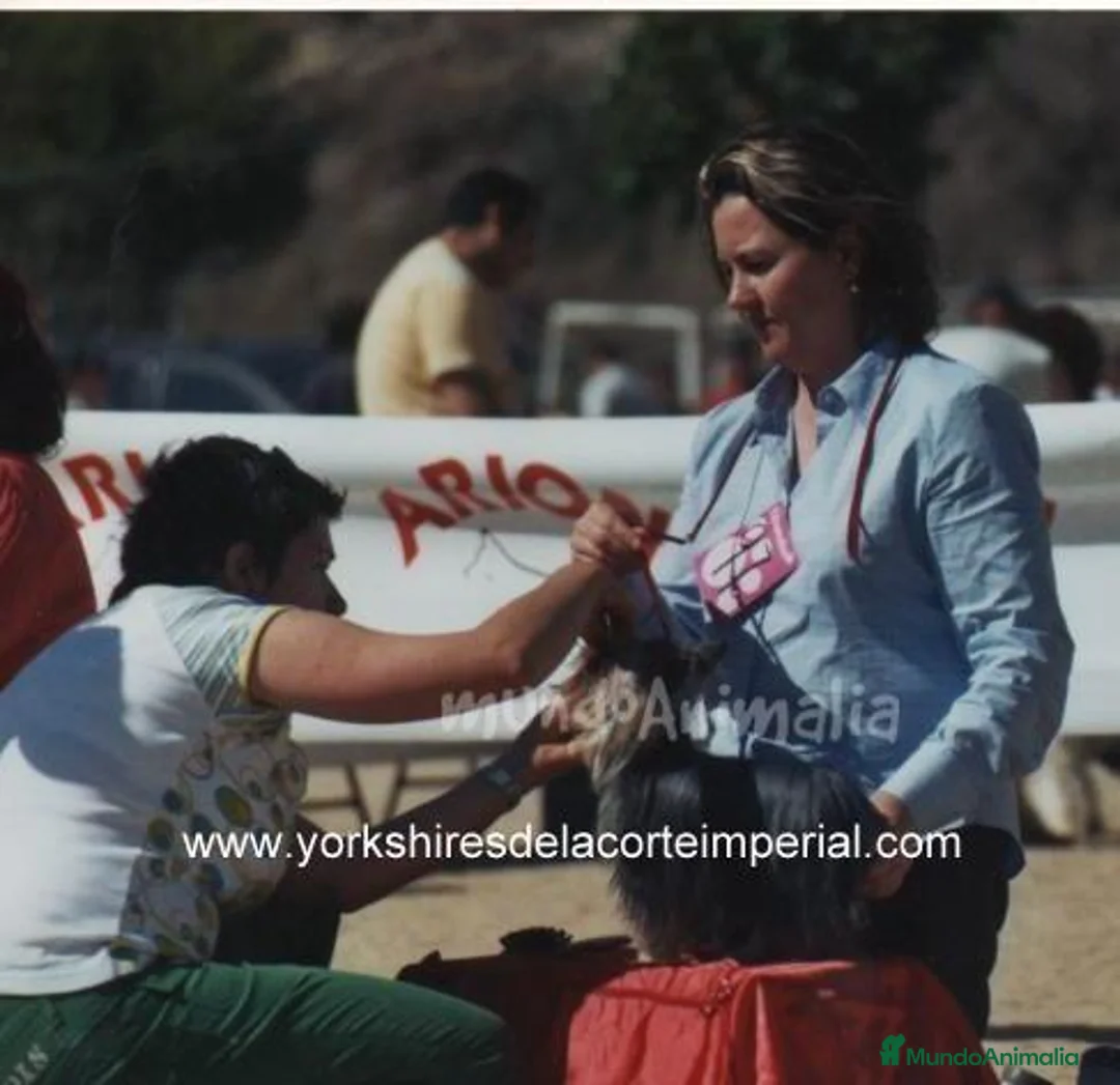 Imagen de galería {{count}}