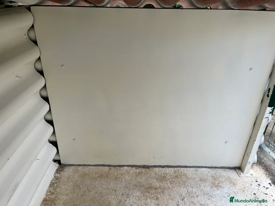 Imagen de galería {{count}}