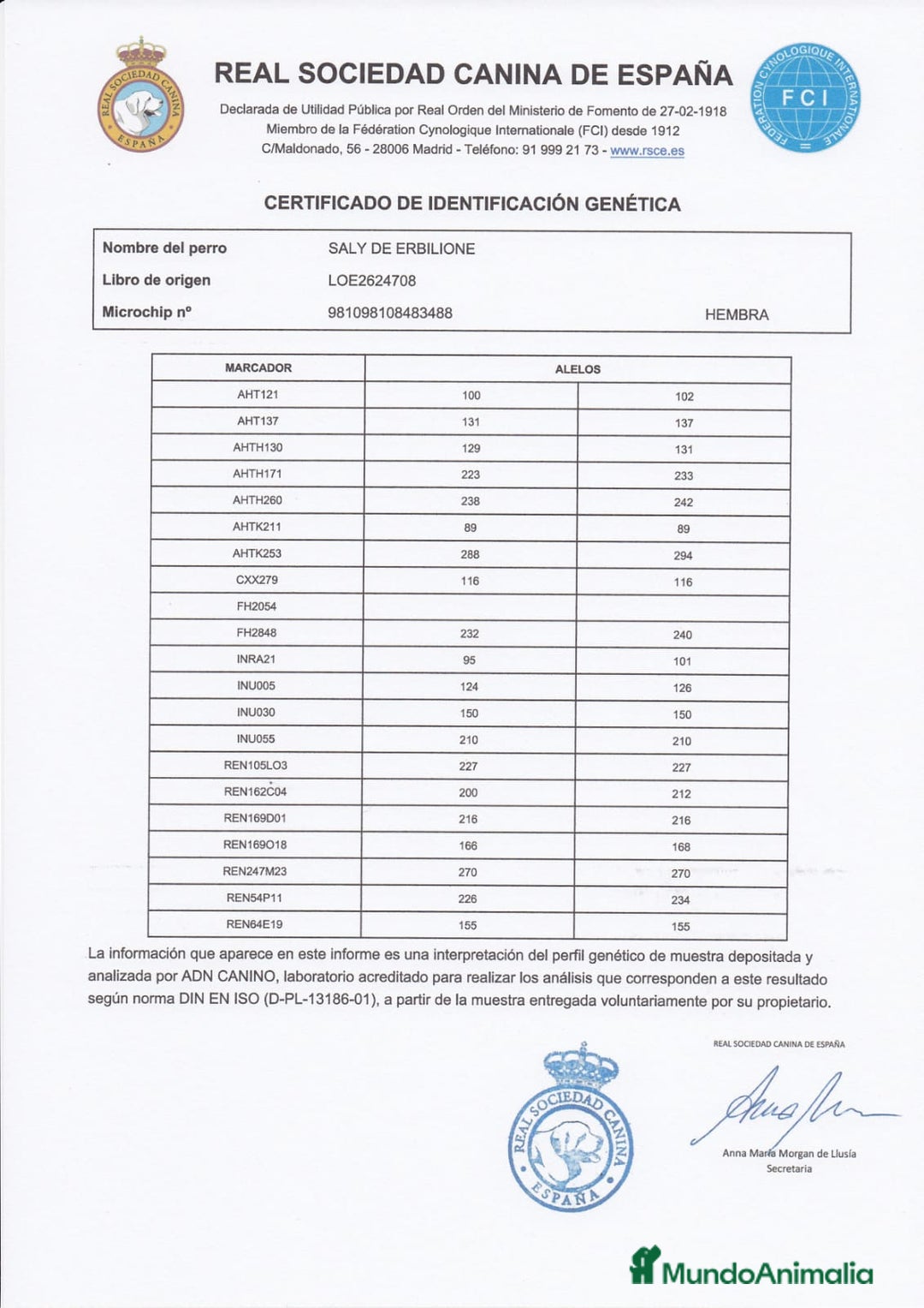 Pastor Alemán perros en venta: CACHORROS PASTOR ALEMÁN  - Anuncio 9