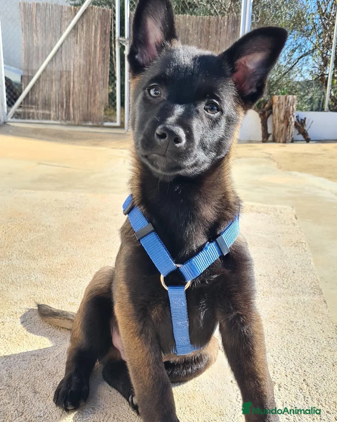 Imagen de galería {{count}}