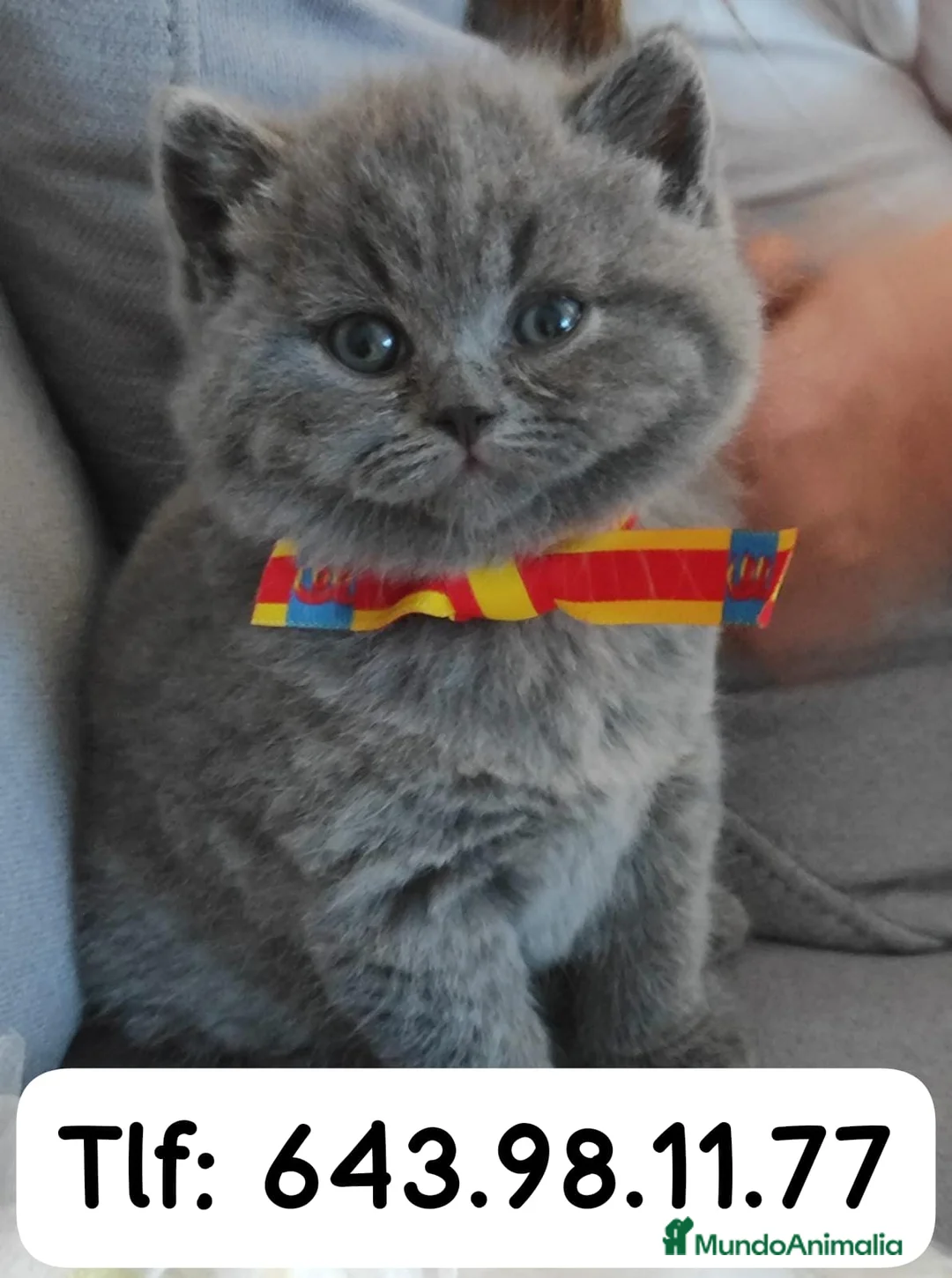 Imagen de galería {{count}}