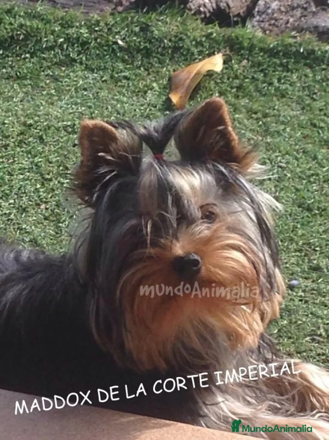 Imagen de galería {{count}}