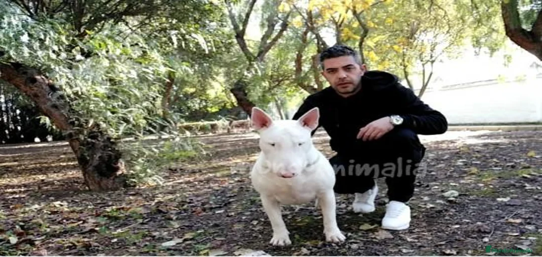 Imagen de galería {{count}}