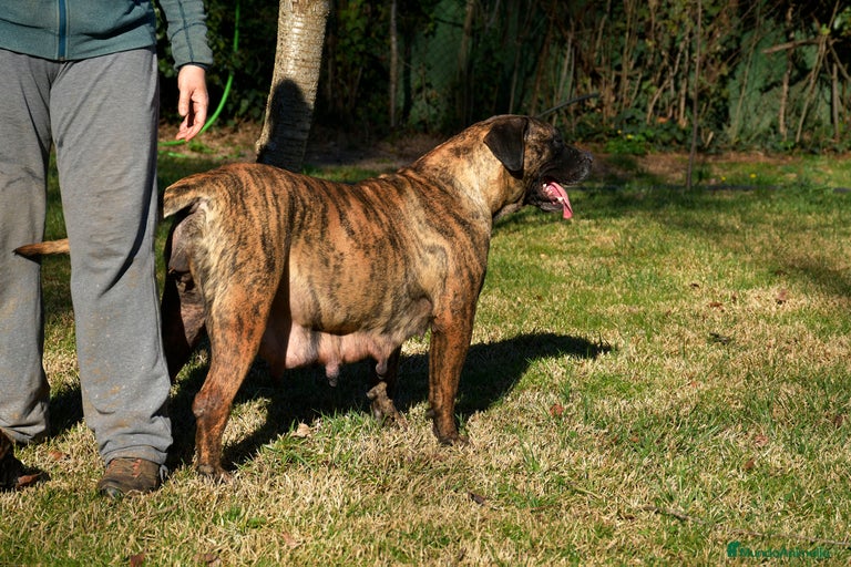 Imagen de galería {{count}}