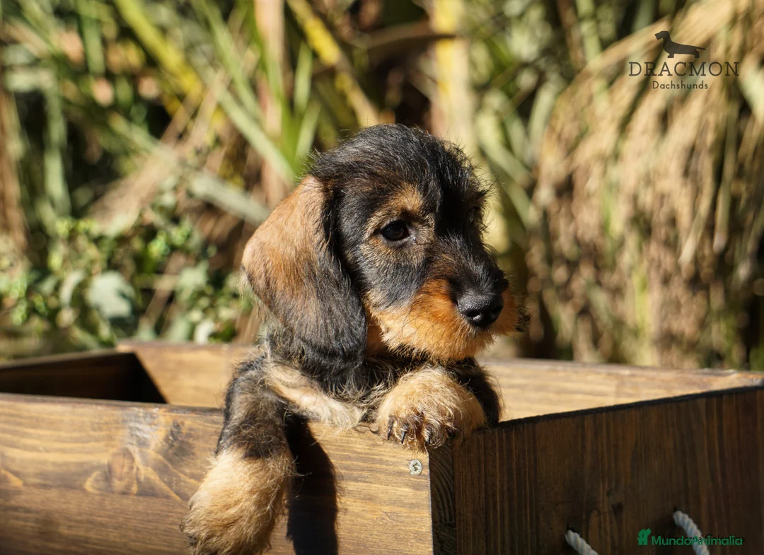 Imagen de galería {{count}}