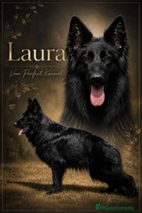 Laura