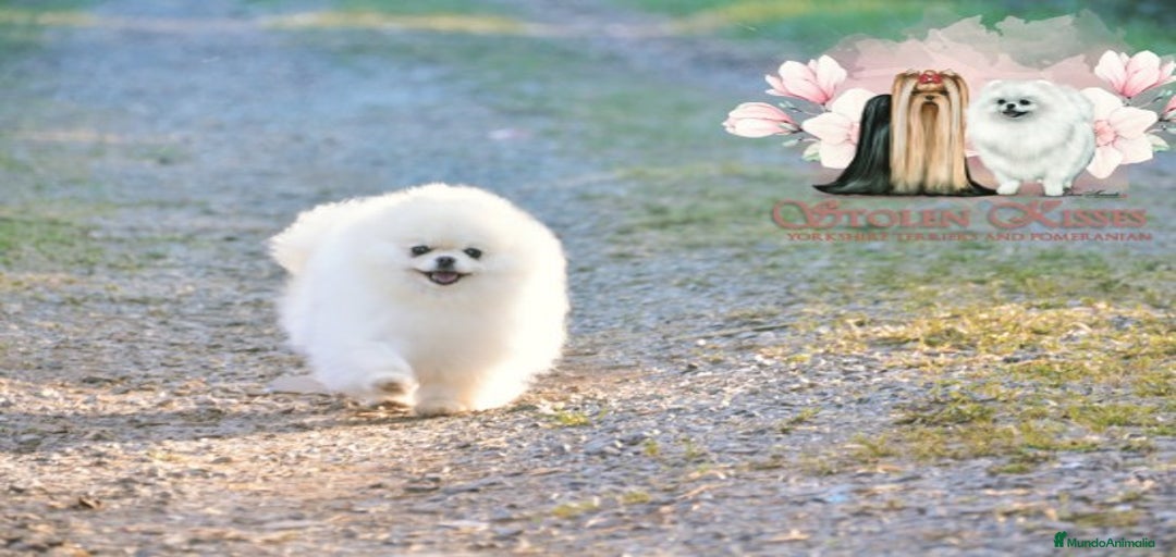 Imagen de galería {{count}}