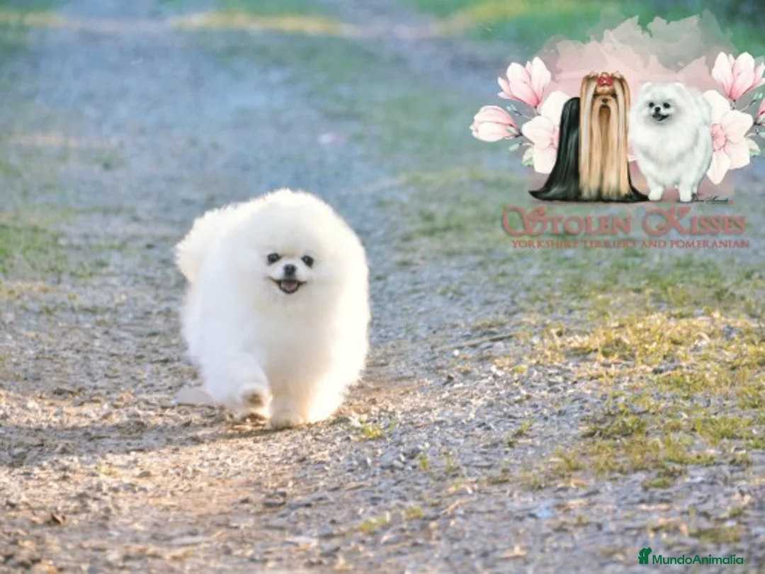 Imagen de galería {{count}}