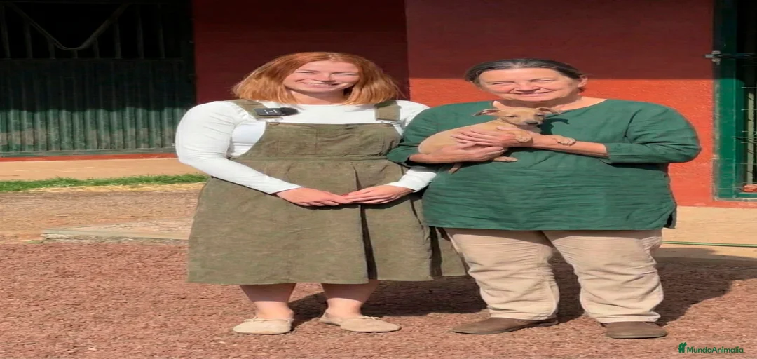 Imagen de galería {{count}}