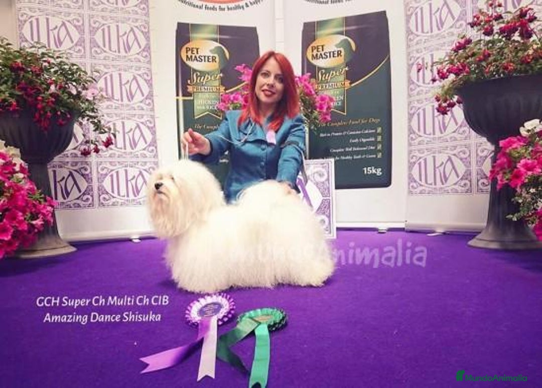 Imagen de galería {{count}}