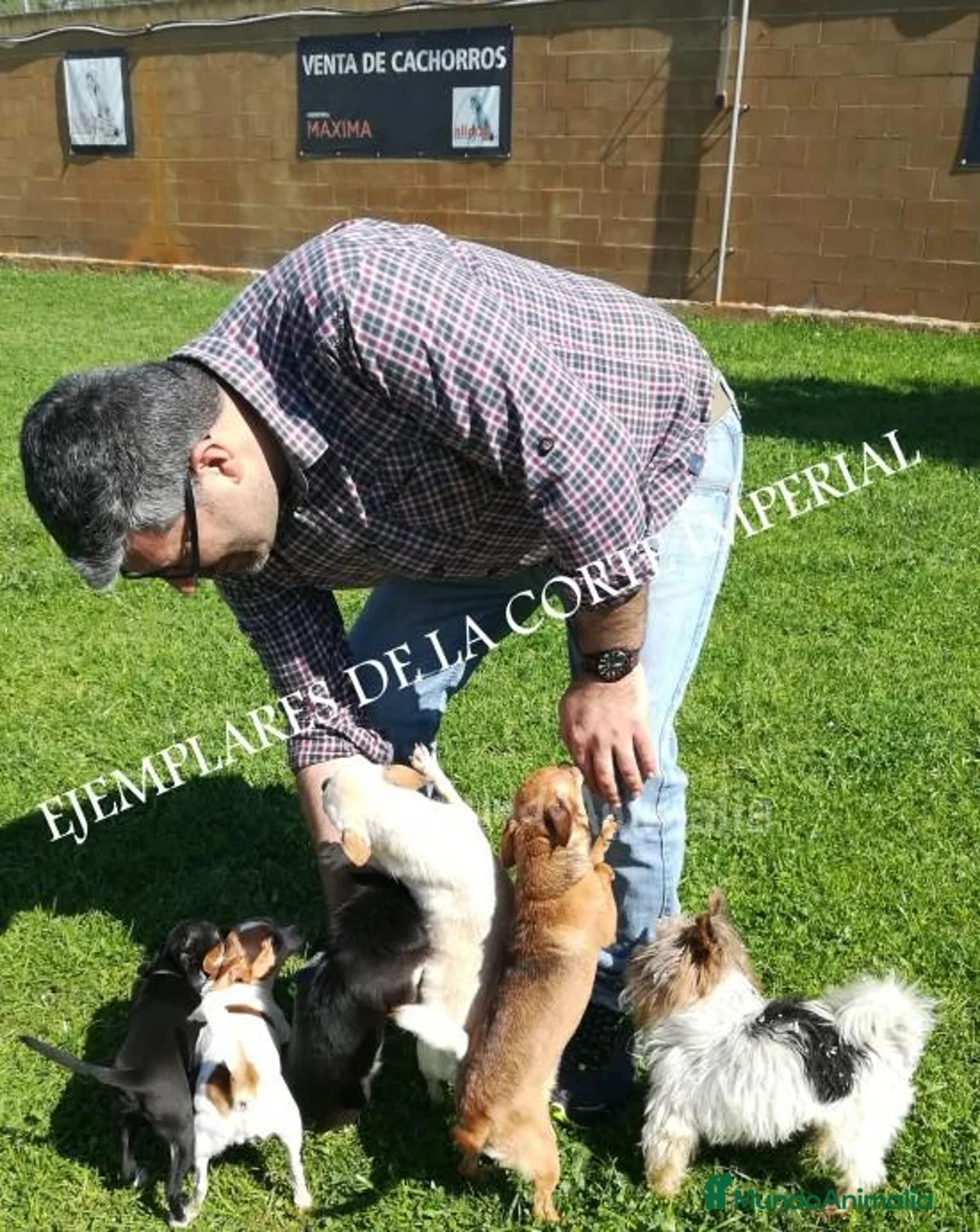 Imagen de galería {{count}}