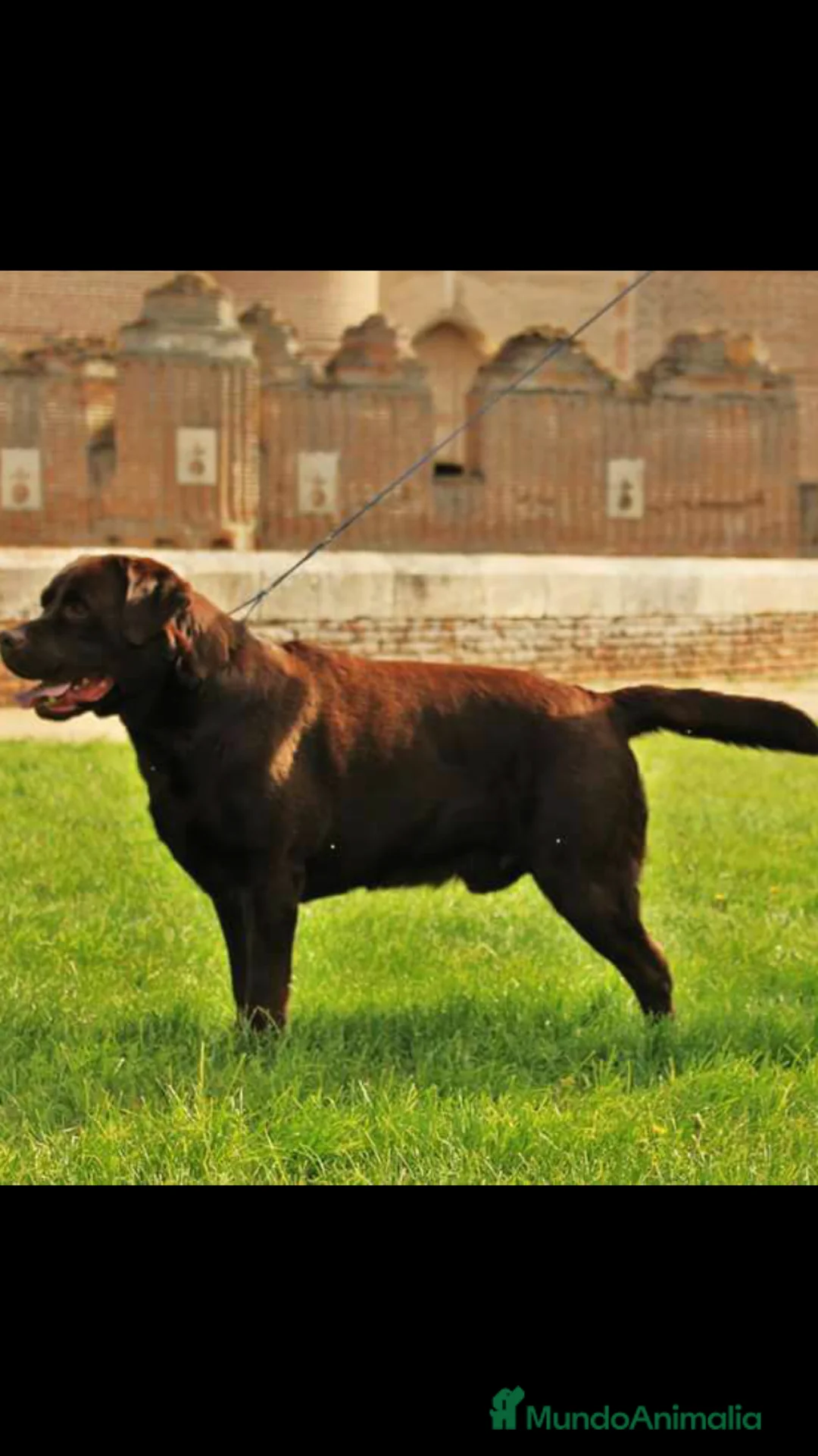 Imagen de galería {{count}}