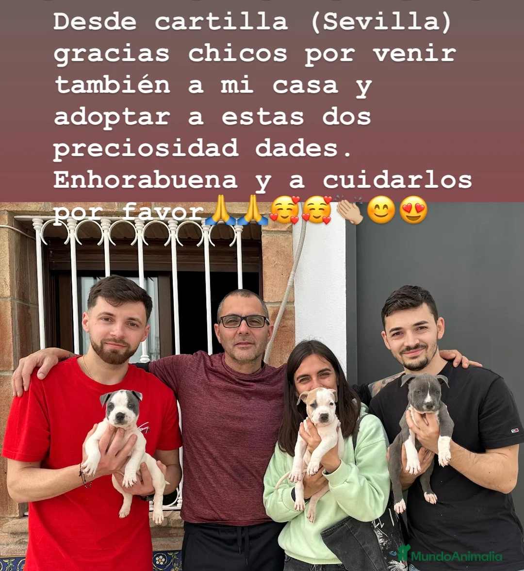 Imagen de galería {{count}}