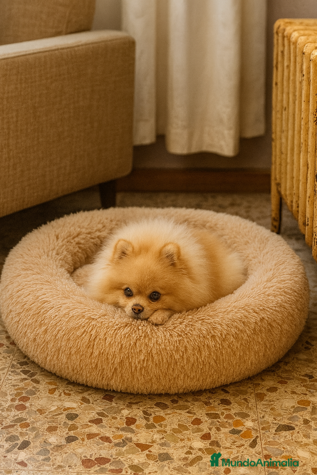 Imagen de galería {{count}}