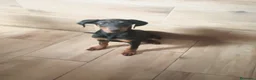 Dobermann perros en venta: Dobermann - Anuncio 4