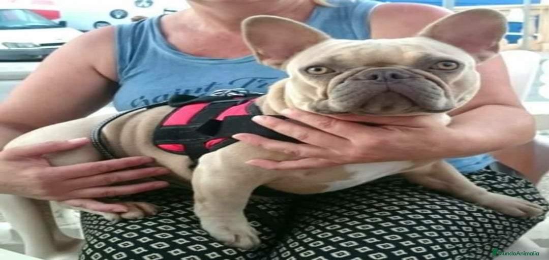 Imagen de galería {{count}}