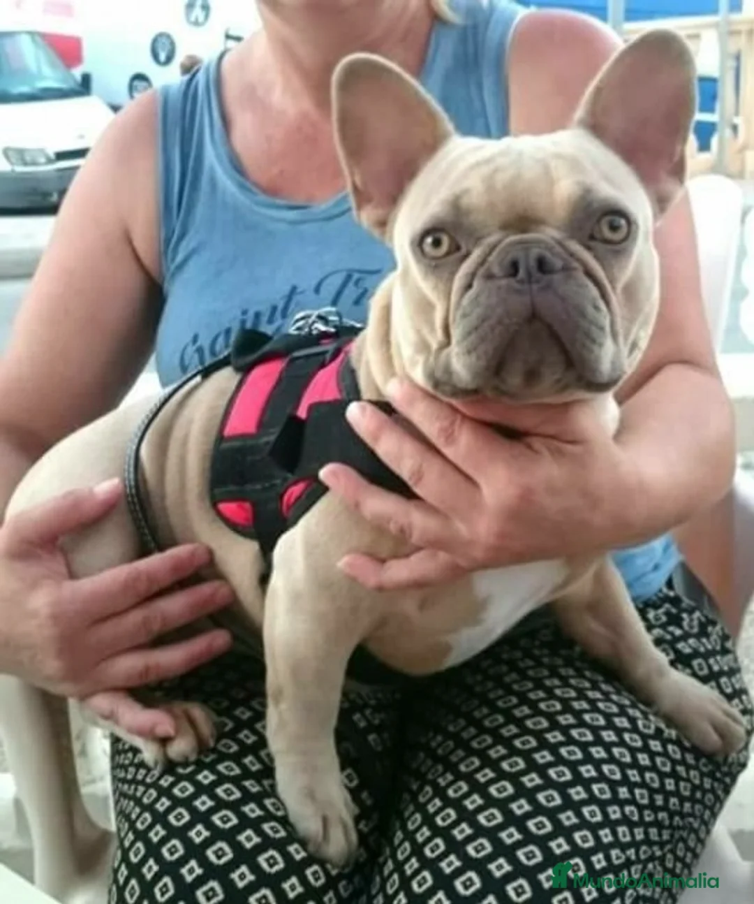 Imagen de galería {{count}}