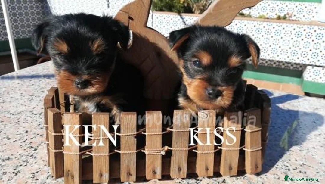 Imagen de galería {{count}}