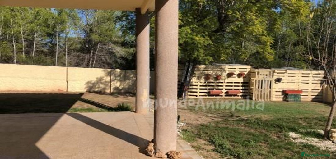 Imagen de galería {{count}}