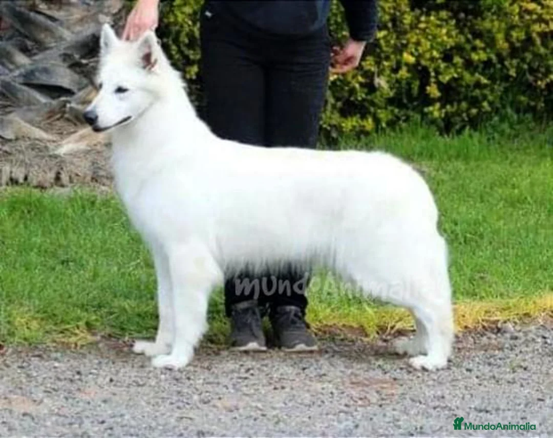 Imagen de galería {{count}}