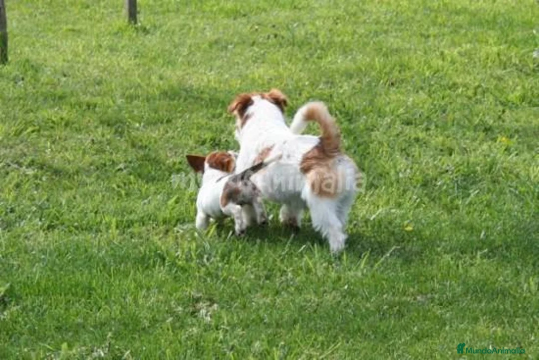 Imagen de galería {{count}}