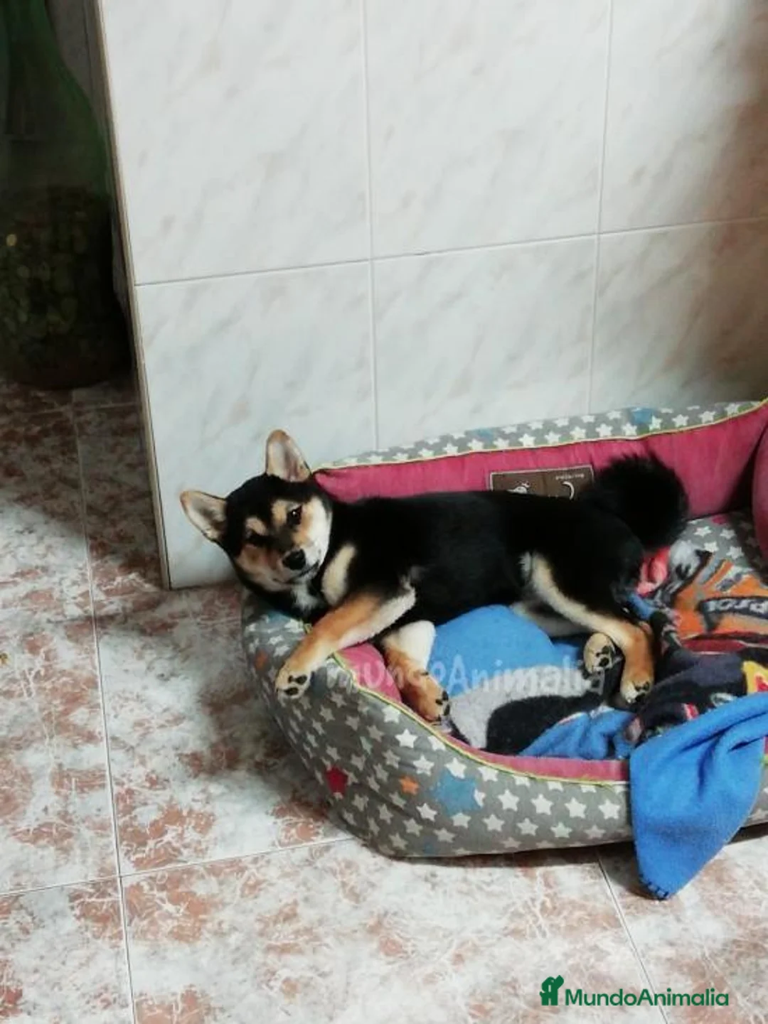 Imagen de galería {{count}}