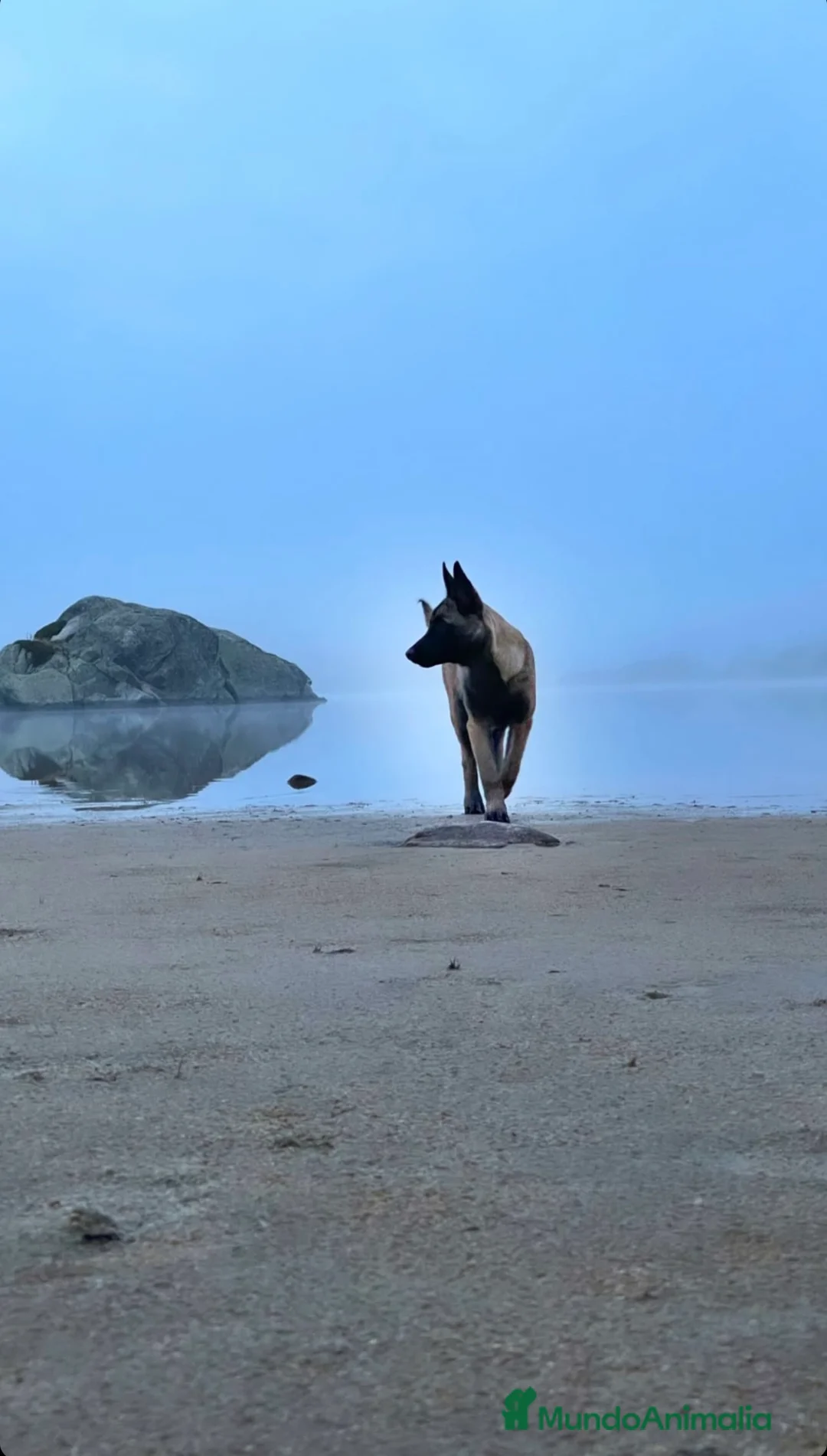 Imagen de galería {{count}}