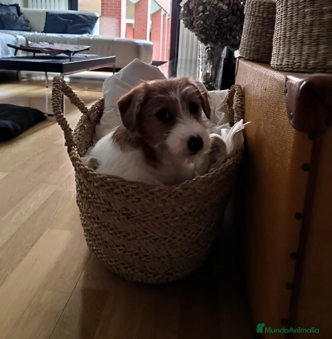 Imagen de galería {{count}}