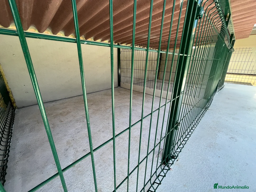 Imagen de galería {{count}}