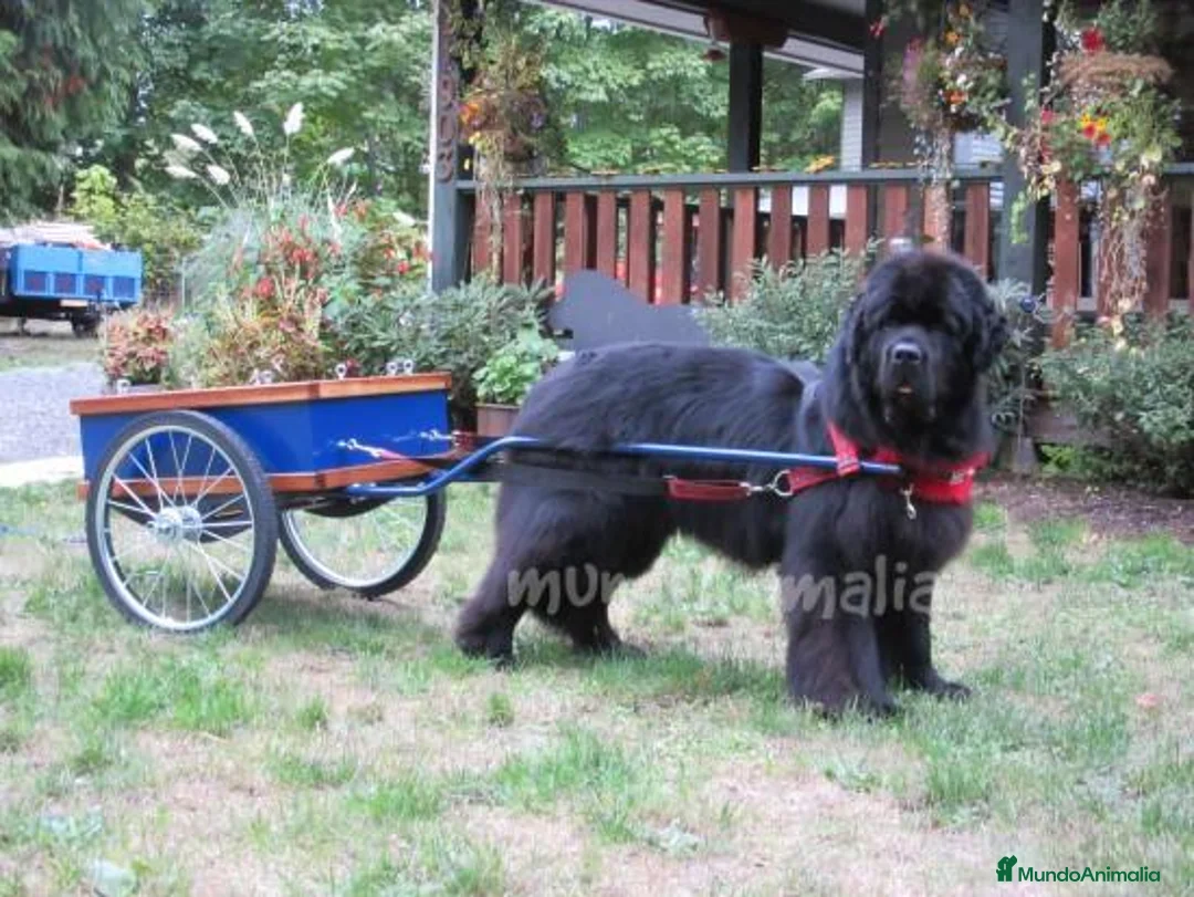 Imagen de galería {{count}}