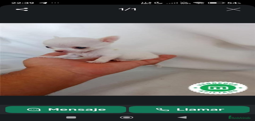 Imagen de galería {{count}}