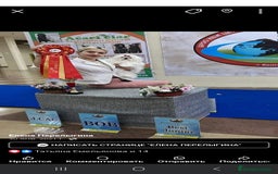 Bichón Maltés perros en venta: Machito Coreano puro Tokio  - Anuncio 8